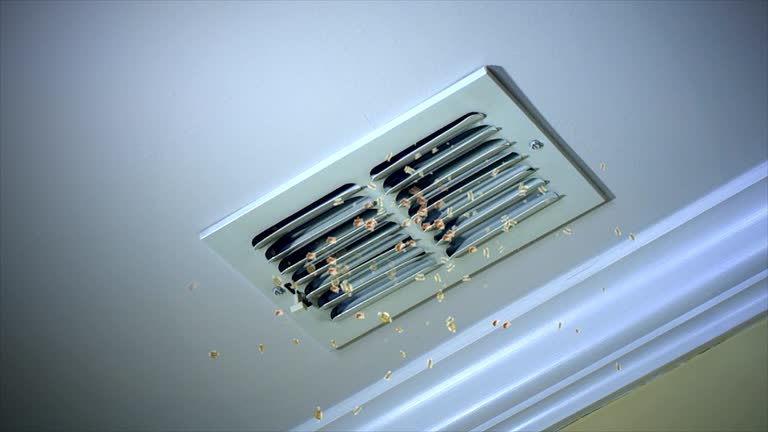 Best Local Air Duct Cleaning Services  in Flower Mound, TX